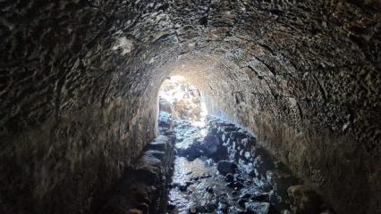 Trabzon'da heyecanlandıran keşif! T&uuml;rkiye'de bir &ouml;rneği daha yok