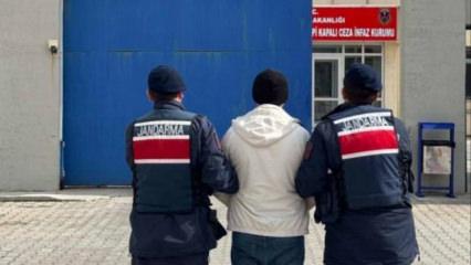 Jandarma &ccedil;eşitli su&ccedil;lardan aranan 55 kişiyi yakaladı