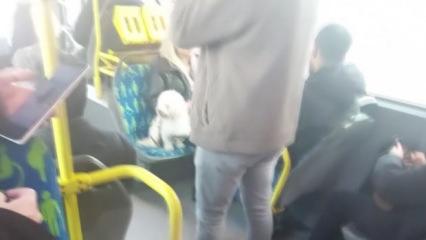 Metrob&uuml;ste k&ouml;pek koltukta oturdu, sosyal medyada tartışma başladı