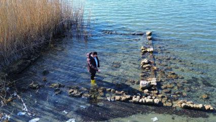 Papa ziyaret etmişti: İznik G&ouml;l&uuml;&rsquo;nde heyecanlandıran gelişme