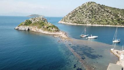 Sular &ccedil;ekildi, 3500 yıllık Myndos Antik Kenti Kral Yolu ortaya &ccedil;ıktı!