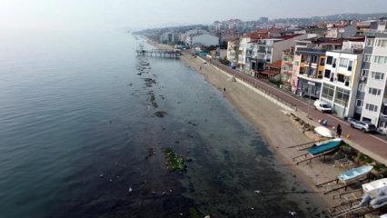 Tekirdağ'da deniz 7 metre &ccedil;ekildi, 'Kral Yolu' ortaya &ccedil;ıktı