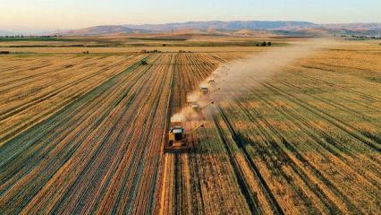 Dev hibe desteği y&uuml;r&uuml;rl&uuml;ğe girdi: &Ccedil;ift&ccedil;iye y&uuml;zde 75 hibe m&uuml;jdesi