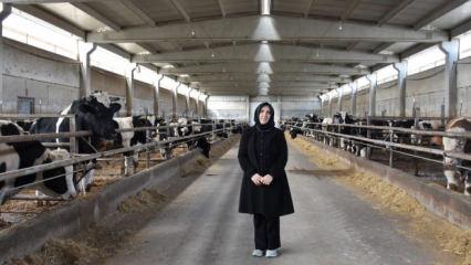 Ev hanımlığından dev &ccedil;iftlik sahipliğine: 900 b&uuml;y&uuml;kbaşla &uuml;retim yapıyor