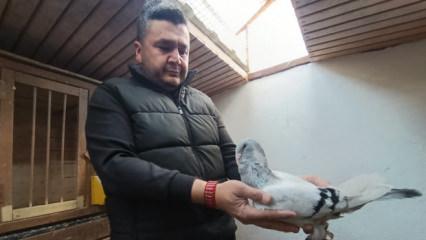 &Ccedil;ocukluk hayali i&ccedil;in memurluğu bıraktı! Otomobil fiyatına satıyor 