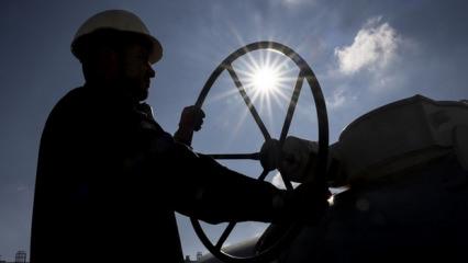 Avrupa'da "tavan fiyat" ve "kısıtlama" tedbirleri devreye alınıyor