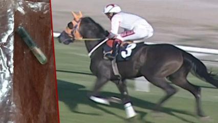 CHP'li belediye a&ccedil;ıklamamıştı Halka at eti yediren firma S&uuml;leymancı &ccedil;ıktı