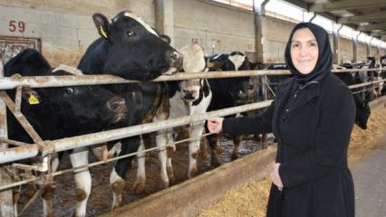 Ev hanımıyken devlet desteğiyle 900 hayvanın bulunduğu &ccedil;iftliğin sahibi oldu