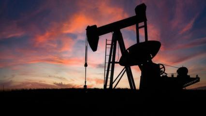 İngiltere: Stratejik petrol stoklarını s&uuml;rmeye hazırız!