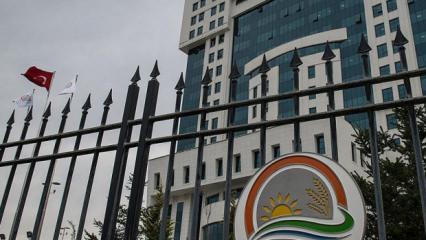 Hayvanları kilo alsınlar diye &ccedil;amura g&ouml;mm&uuml;şler! Bakanlık devreye girdi