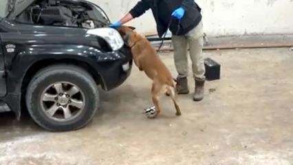 Kapıkule&rsquo;de otomobilde 8 kilo 60 gram kokain ele ge&ccedil;irildi