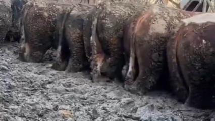 Konya'da sosyal medyada g&uuml;ndem olan g&ouml;r&uuml;nt&uuml;! İnceleme başlatıldı