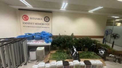 Sultanbeyli&rsquo;de zehir dairesine baskın: Evin i&ccedil;ine kenevir serası kurmuşlar!