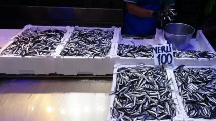 T&uuml;rkiye'den 2.7 milyar dolarlık hamsi ihracatı! En &ccedil;oğunu savaştaki &uuml;lke aldı