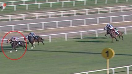 Sakatlanan yarış atıyla ilgili skandalda yeni gelişme! 132 bin TL ceza kesildi