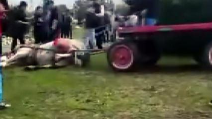 Adana'da insanlığı sorgulatan g&ouml;r&uuml;nt&uuml;: Koşmadığı gerek&ccedil;esiyle ata eziyet ettiler 