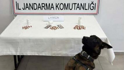 Aydın'da uyuşturucu operasyonu; 10 tutuklama