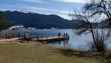 Abant G&ouml;l&uuml; Milli Parkı&rsquo;nda bahar: Eriyen karların yerini &ccedil;iğdemler aldı