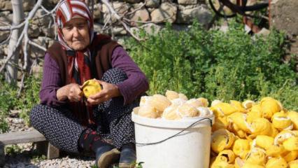 Dalında 20, kuruyunca 65 TL'den satılıyor