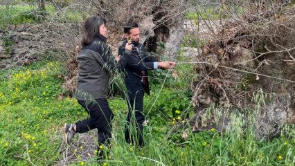 Doğa y&uuml;r&uuml;y&uuml;ş&uuml;nde şaşırtan keşif! Yaşı 2 bin yılı, g&ouml;vdesi 19 metreyi aşıyor