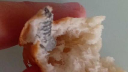 Elazığ&rsquo;da ekmeğin i&ccedil;inden vida &ccedil;ıktı