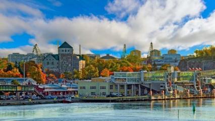 Finlandiya&rsquo;dan &uuml;cretsiz tatil fırsatı: 7 g&uuml;n boyunca t&uuml;m masraflar karşılanacak