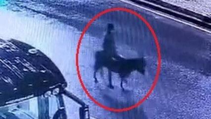 Forkliftle kuyumcuyu soyup eşekle ka&ccedil;an sanığa 16 yıl hapis istemi