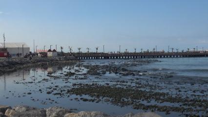 Hatay'da şaşırtan g&ouml;r&uuml;nt&uuml;: Fırtına sonrası deniz suyu &ccedil;ekildi! Karada balık tuttular...