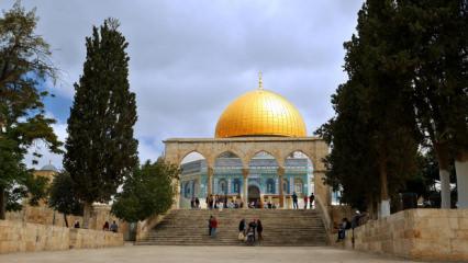 İsrail'in 18 g&uuml;nl&uuml;k Aksa ablukasına karşı Fatih'te tarihi &ccedil;ağrı