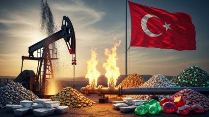 K&uuml;resel petrol şokları derinleşirken T&uuml;rkiye enerji arz g&uuml;venliğini nasıl koruyor?