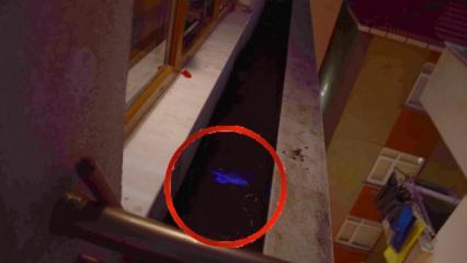 Luminol y&ouml;ntemi 7 yıllık sırrı &ccedil;&ouml;zd&uuml;: Eşini &ouml;ld&uuml;r&uuml;p par&ccedil;alara ayırarak &ccedil;&ouml;pe atmış