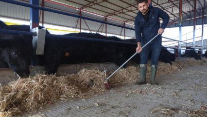M&uuml;hendisliği bırakıp hayvancılığa başladı! Pişmanlık s&ouml;zleri dikkat &ccedil;ekti