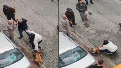 Pitbull saldırısında yeni g&ouml;r&uuml;nt&uuml;ler: Sahibinin yaptığı vahşeti getirdi