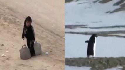 Gazze'de &ccedil;ocuk olmak... Bir penguen kadar konuşulmayacak