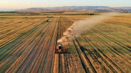 Bakanlık d&uuml;ğmeye bastı: Tamamını devlet &ouml;deyecek!