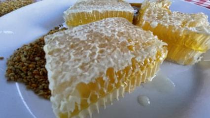 AB'den coğrafi tescil alan Yenice ıhlamur balı markalaşma yolunda ilerleyecek