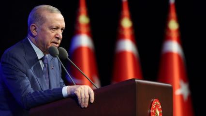 'Avrupa'dan bakan biri T&uuml;rkiye'yi okuyamaz': İtalyan akademisyen 'hataları' tek tek yazdı