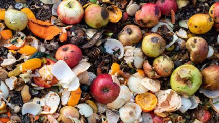 &Ccedil;&ouml;pe giden servet dudak u&ccedil;uklattı: Trilyon dolarlık kayıp 