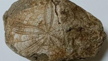 Denizli'de doğa y&uuml;r&uuml;y&uuml;ş&uuml; sırasında buldu! Ka&ccedil; yıllık olduğu bir sır 