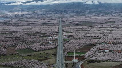 "D&uuml;nya kayısı başkenti" Malatya beyaz gelinliğini giydi