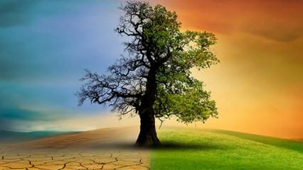 D&uuml;nyanın &ccedil;ivisi &ccedil;ıktı mı?