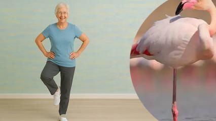 Flamingo testinin sonu&ccedil;ları şaşırtıcı: Tek ayak &uuml;zerinde durun, bedeniniz ka&ccedil; yaşında &ouml;l&ccedil;&uuml;n!