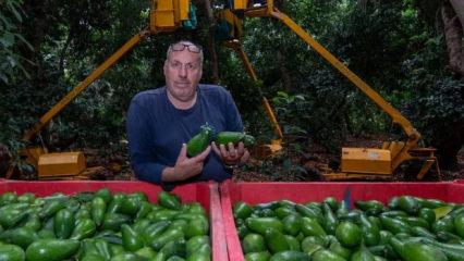 Gasp edilen topraklarda &ccedil;ift&ccedil;ilik yapıyordu: Yanarak &ouml;ld&uuml;
