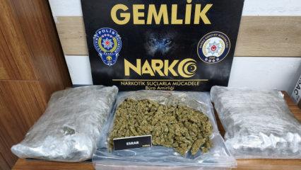 Gemlik&rsquo;te narkotik pen&ccedil;esi: Evde &ouml;zel d&uuml;zenekli uyuşturucu serası &ccedil;&ouml;kertildi!