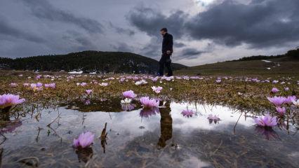 Havanın ısındığı Yozgat&rsquo;ta enfes manzaralar: G&ouml;ndelen Deresi coştu