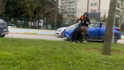 Birbirini yerde s&uuml;r&uuml;kleyen kadınların kavgası: &lsquo;Ayıp, ejderha kadınlar sizi&rsquo;