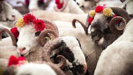  Kurban Bayramı tarihi 2026 | Kurban Bayramı tatili ka&ccedil; g&uuml;n olacak?