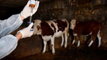 K&uuml;tahya'da alarm: 15 k&ouml;y karantinaya alındı!