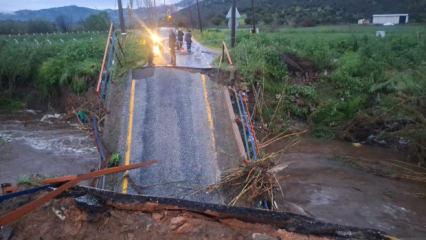 Milas'ta k&ouml;pr&uuml; &ccedil;&ouml;kt&uuml;!