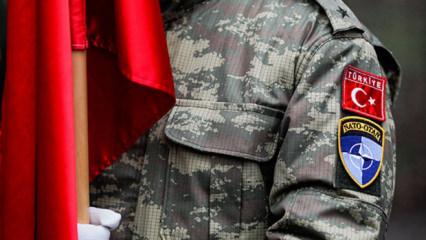 NATO'dan dikkat &ccedil;eken 'Anıtkabir' paylaşımı: 100 g&uuml;n kaldı